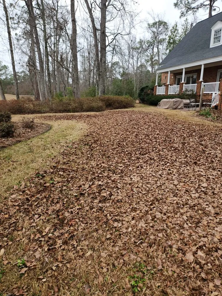 Reliable residential landscaping experts serving Lyons, GA - M & M Landscaping