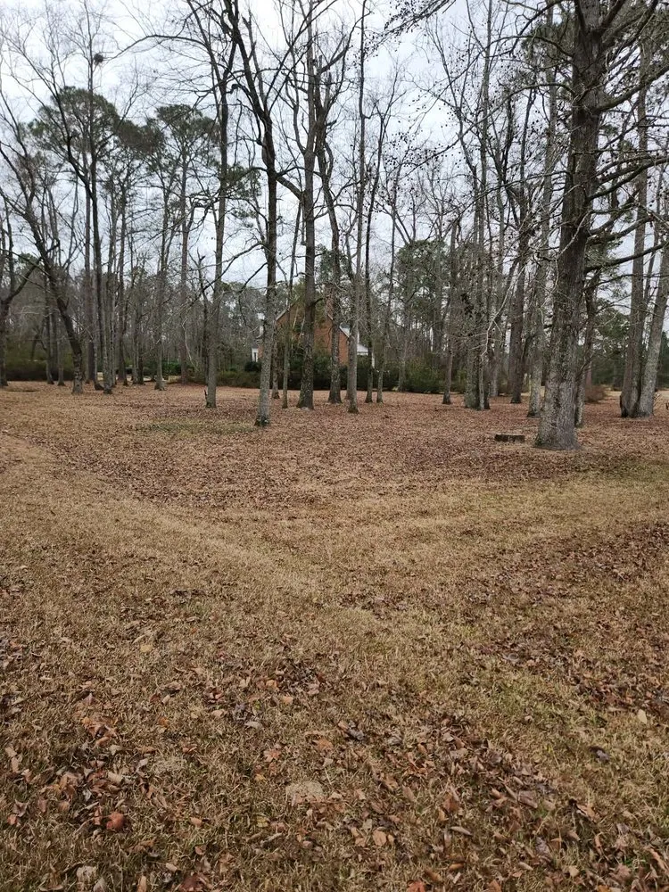 Custom landscape installation for outdoor upgrades across Lyons, GA - M & M Landscaping