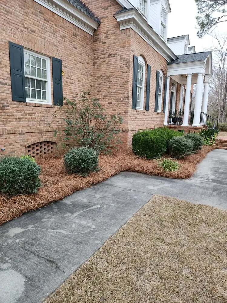 Expert landscape installation experts serving Lyons, GA - M & M Landscaping
