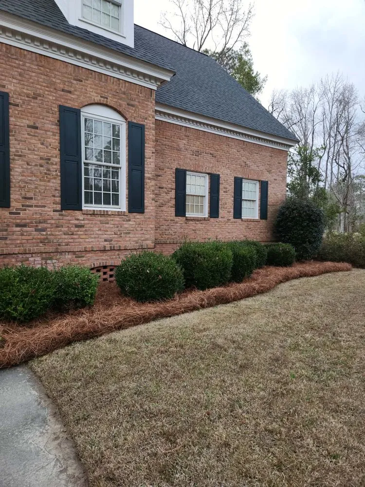 Top-rated yard cleanup service in Lyons, GA by M & M Landscaping
