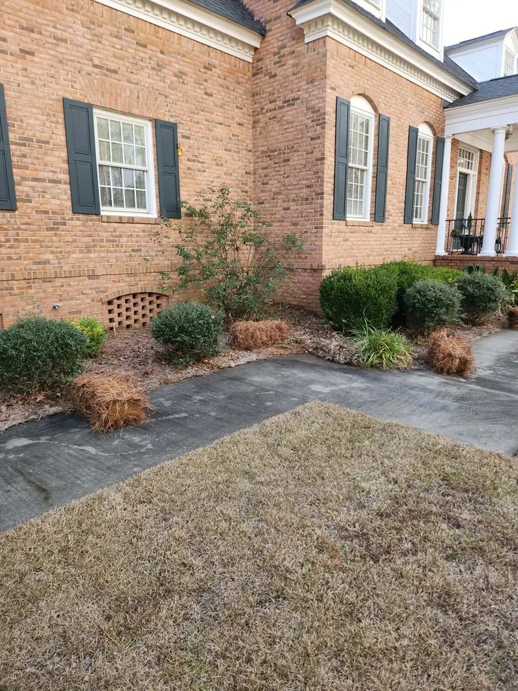 Expert landscaping services with custom design in Lyons, GA by M & M Landscaping