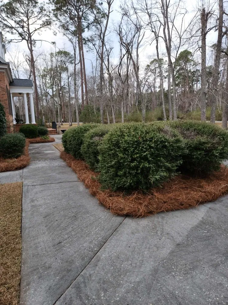 Top-rated yard maintenance experts serving Lyons, GA - M & M Landscaping