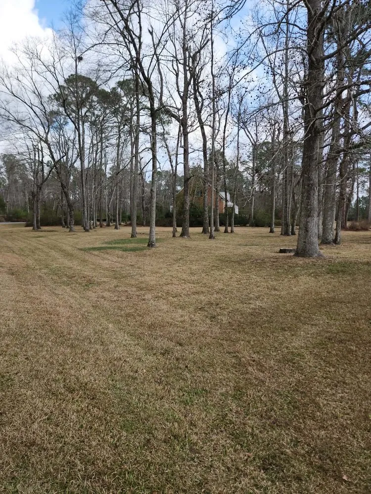 Professional lawn care service for outdoor upgrades across Lyons, GA - M & M Landscaping