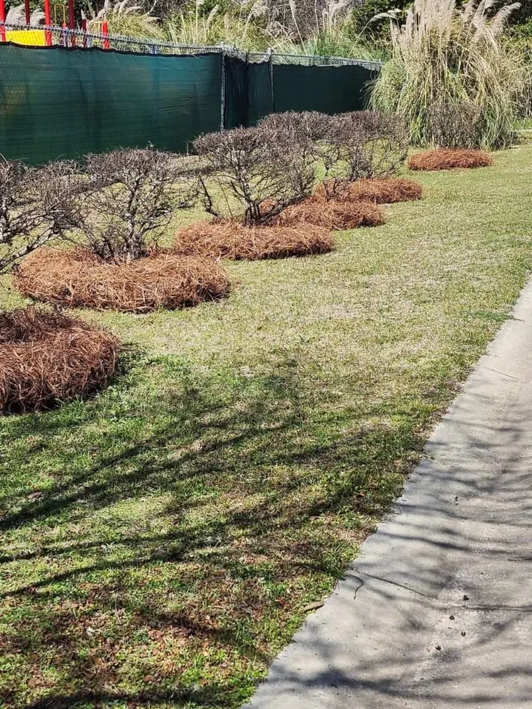 Affordable yard maintenance with custom design across Lyons, GA - M & M Landscaping