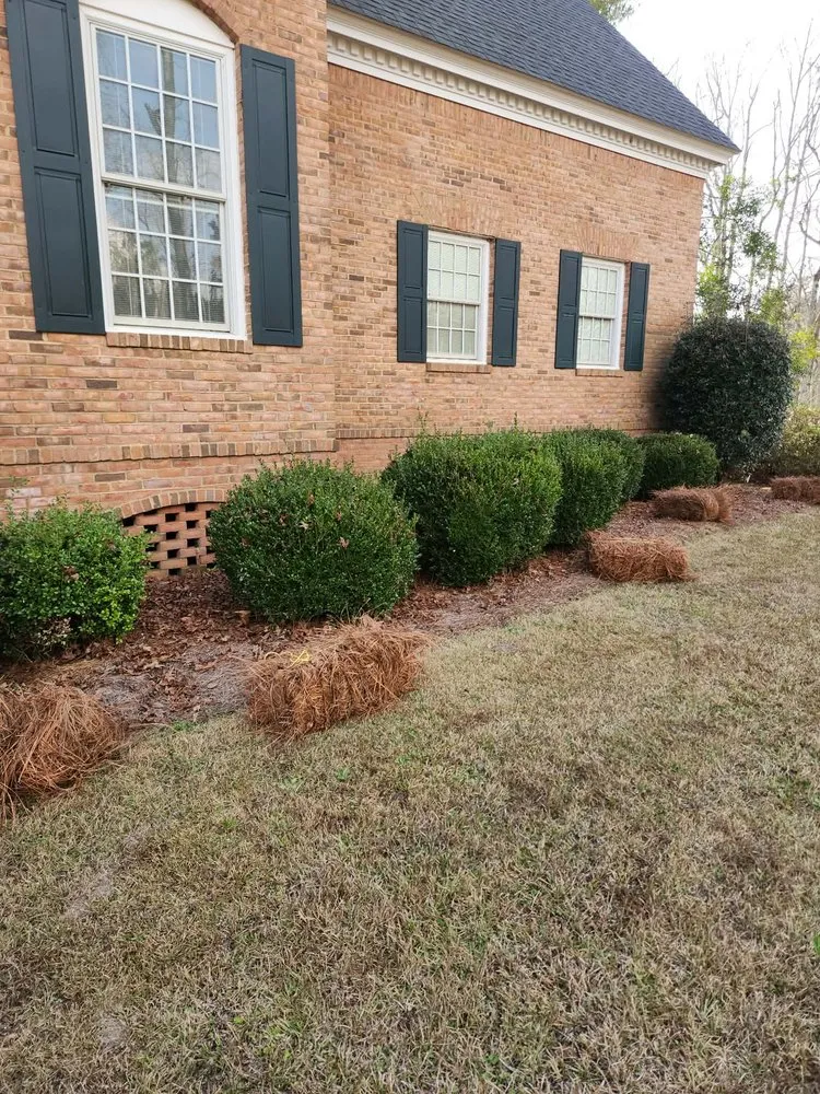 Expert lawn mowing service in Lyons, GA - M & M Landscaping