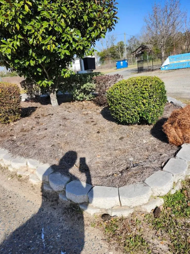 Reliable lawn care service for homes across Lyons, GA - M & M Landscaping