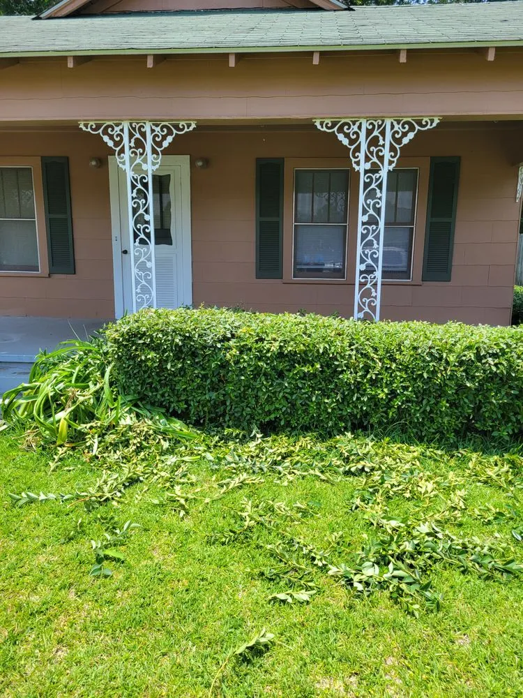 Top-rated outdoor landscaping in Lyons, GA - M & M Landscaping