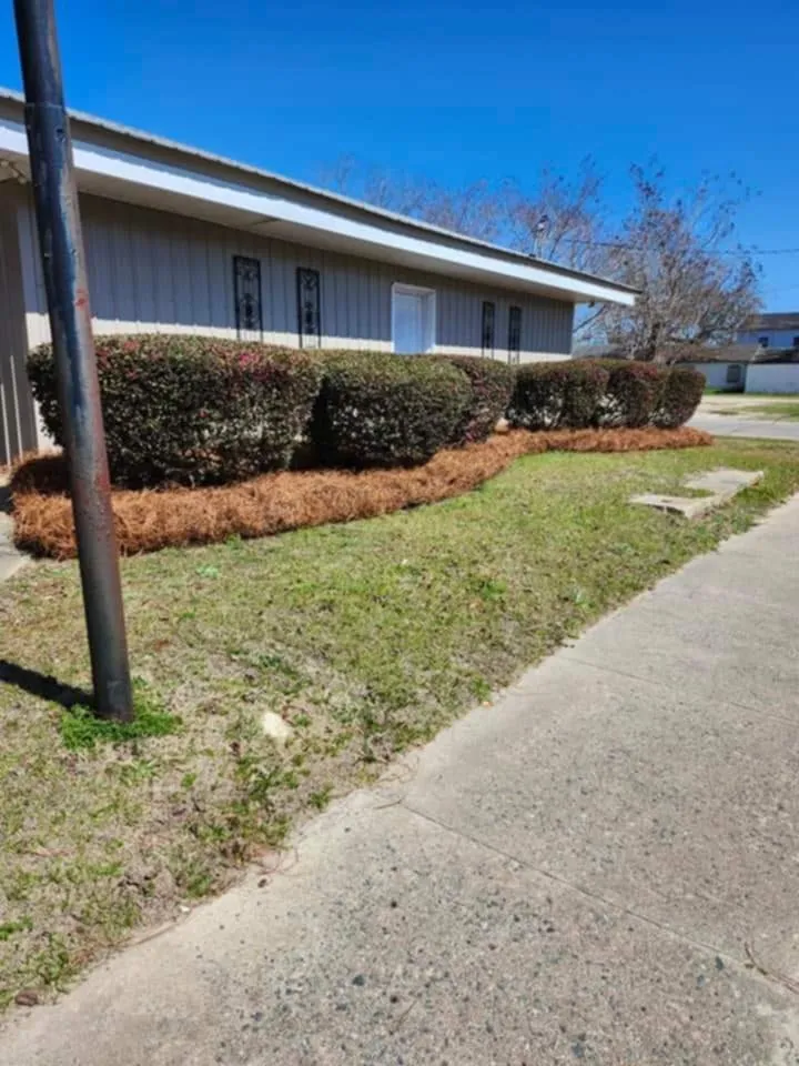 Affordable residential landscaping in Lyons, GA - M & M Landscaping