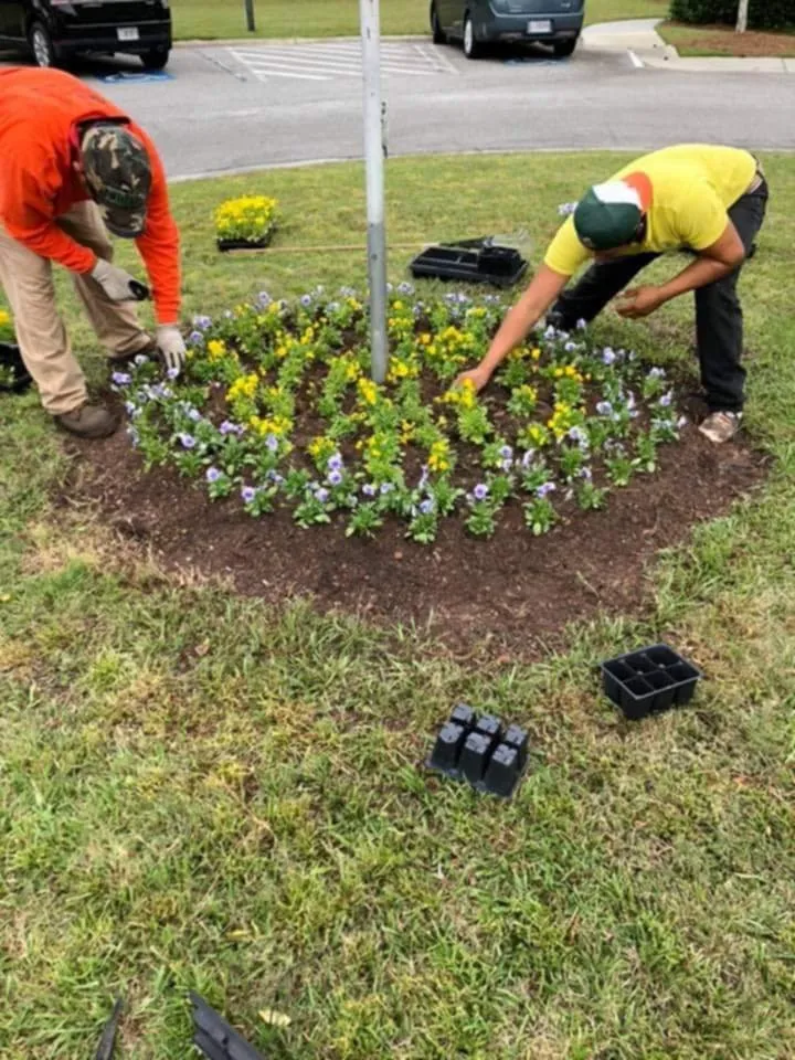 Custom landscape design experts serving Lyons, GA - M & M Landscaping