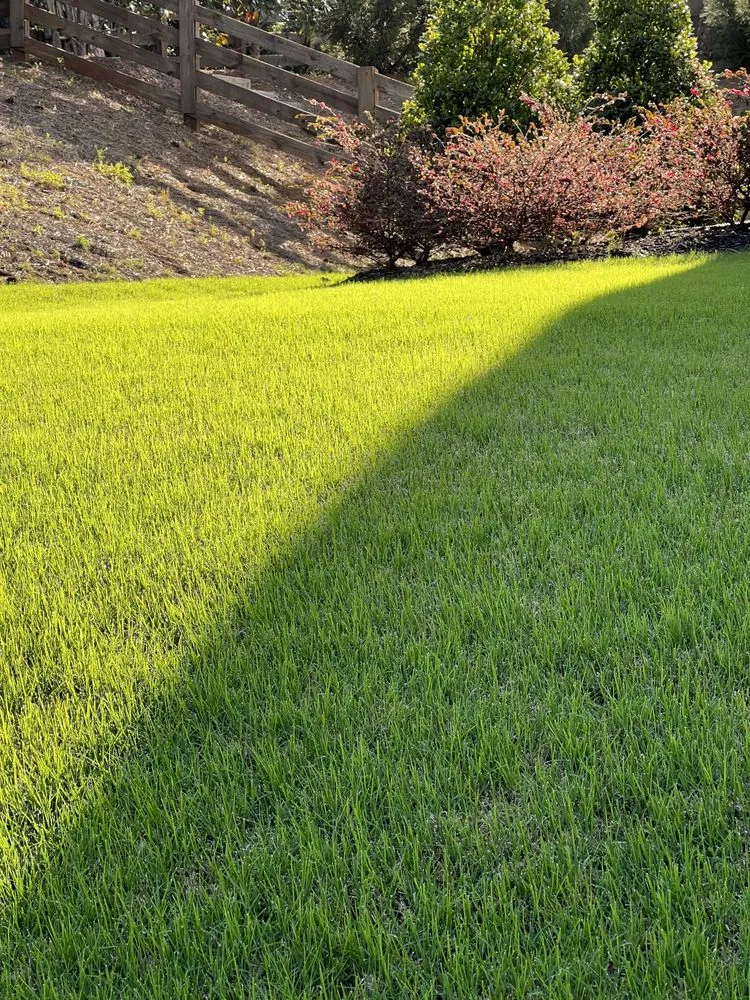 Reliable landscape installation for residential properties across Salem, OR - M & M Landscaping