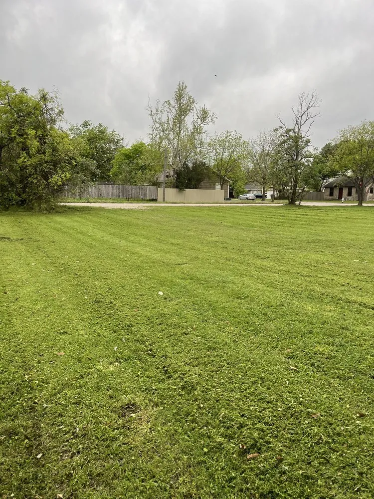 Local landscape installation experts serving Leander, TX - M & M Landscaping Services