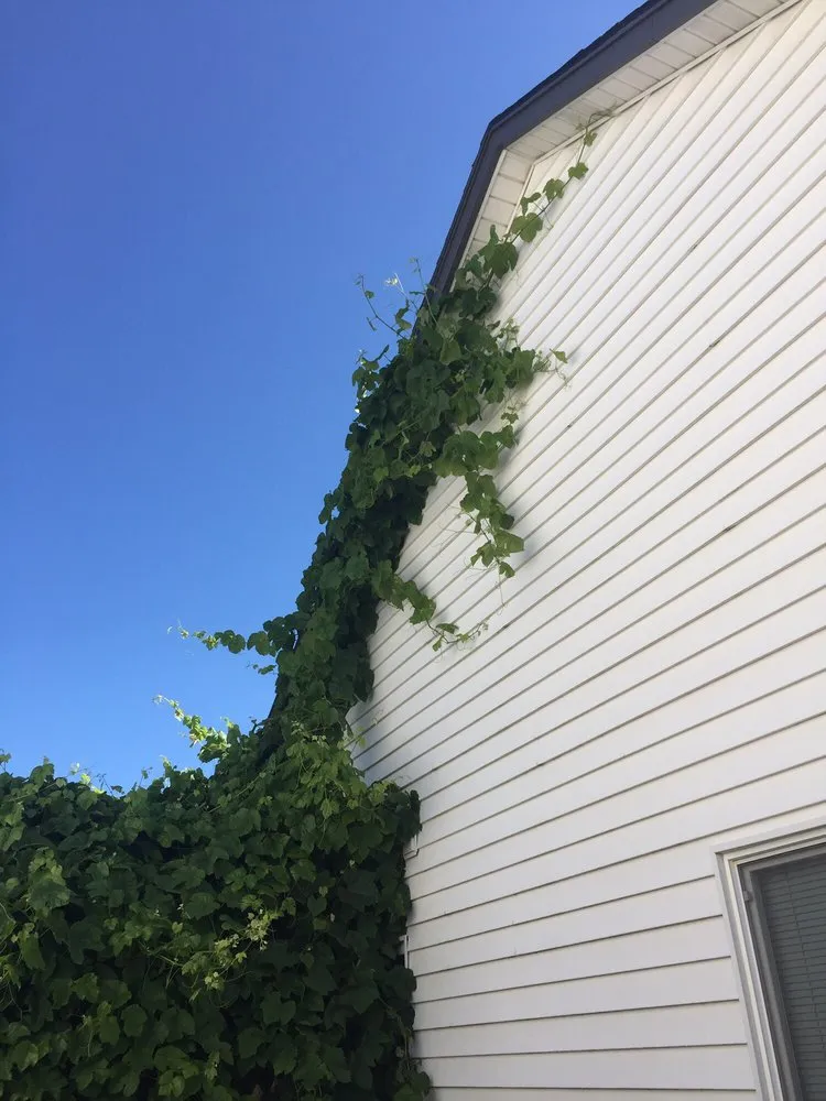 Expert outdoor landscaping for beautiful yards across Vancouver, WA - M & M Landscaping