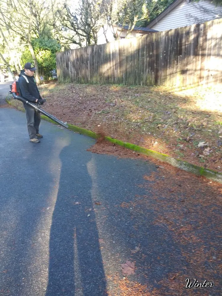 Reliable lawn care service experts serving Vancouver, WA - M & M Landscaping