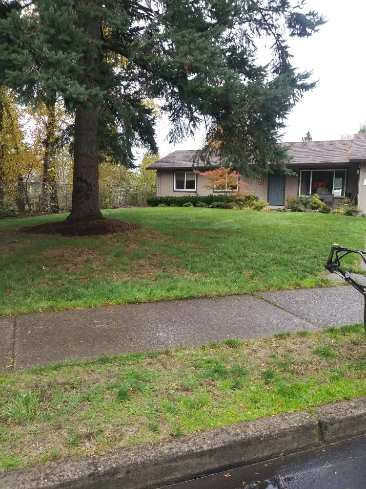 Trusted yard maintenance experts serving Vancouver, WA - M & M Landscaping