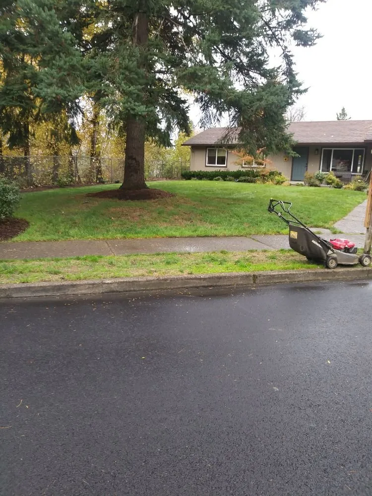 Local landscape installation experts serving Vancouver, WA - M & M Landscaping