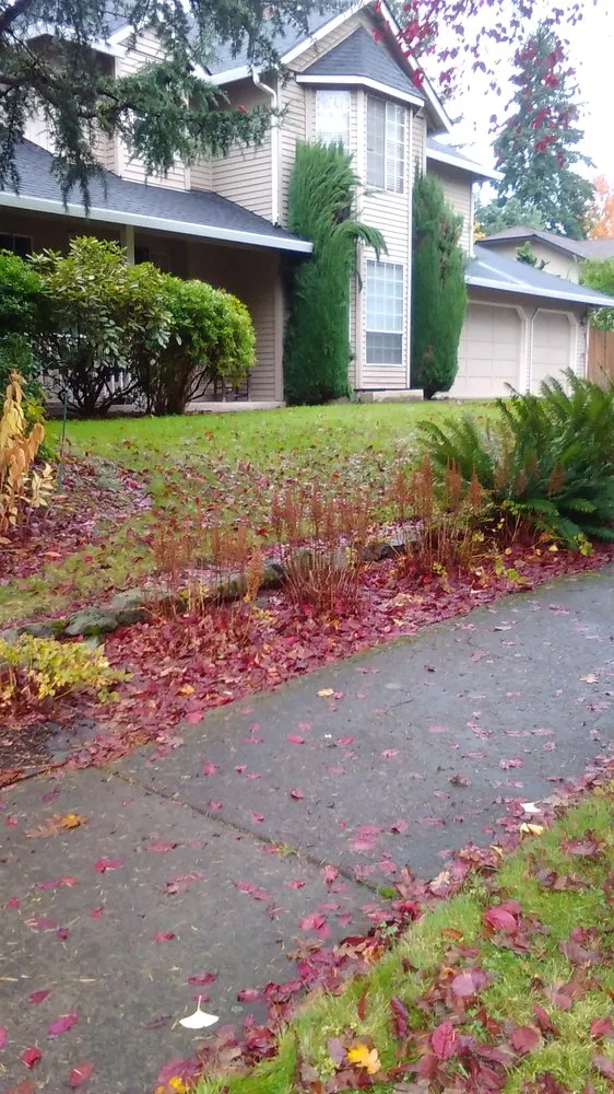 Top-rated landscape design for outdoor upgrades across Vancouver, WA - M & M Landscaping