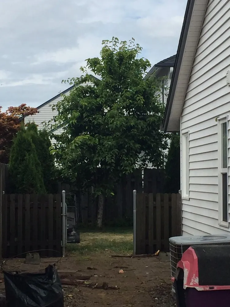 Reliable landscaping services for homes across Vancouver, WA - M & M Landscaping