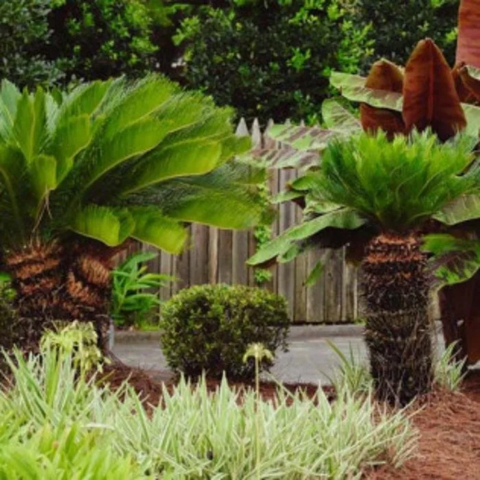 Expert landscaping services for year-round maintenance in Lake Charles, LA by M & M Lawn & Irrigation