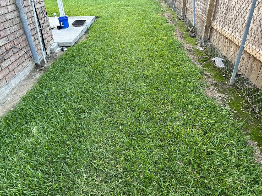 Reliable yard cleanup service for homes across Laplace, LA - M & M Lawn Care Services