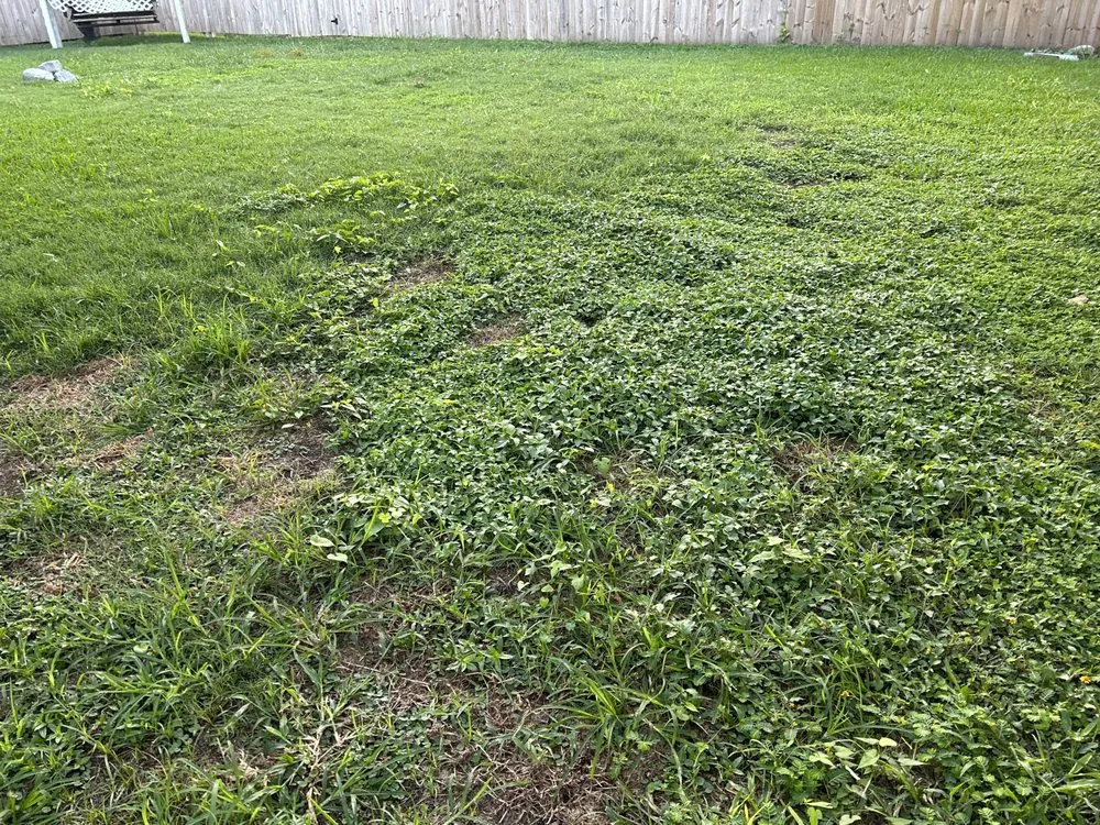 Top-rated lawn mowing service for residential properties across Laplace, LA - M & M Lawn Care Services