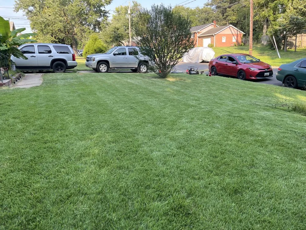Expert yard cleanup service experts serving Clinton, MD - M & M Lawn Mowing