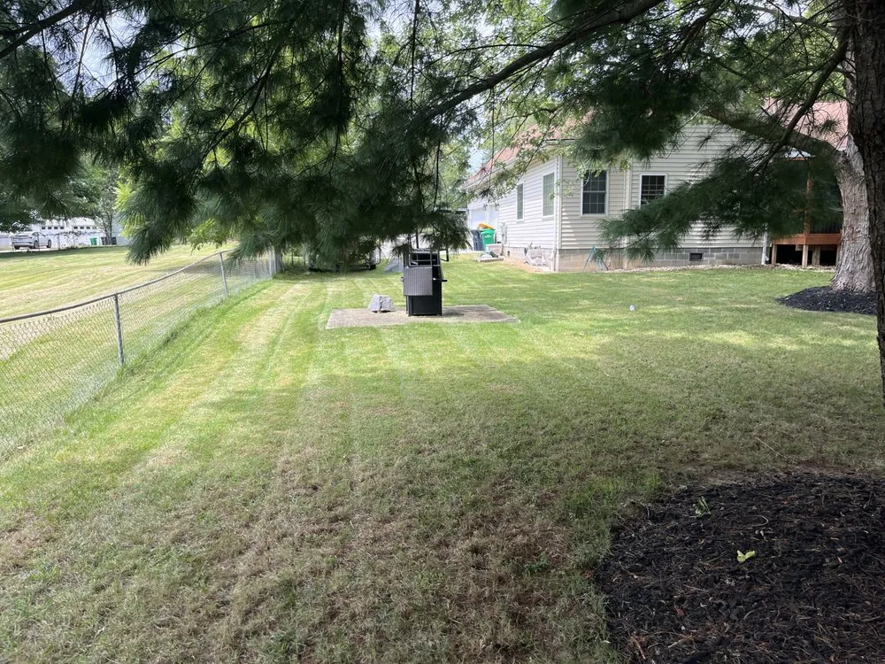 Affordable yard maintenance in Clinton, MD by M & M Lawn Mowing