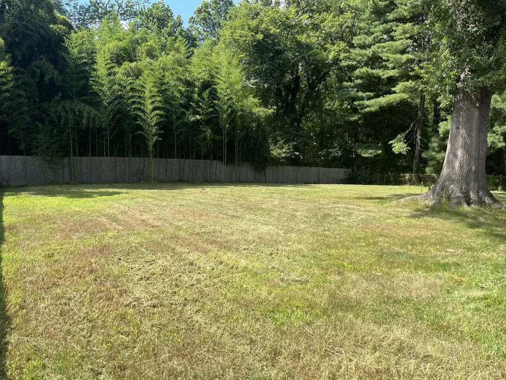 Professional residential landscaping experts serving Clinton, MD - M & M Lawn Mowing