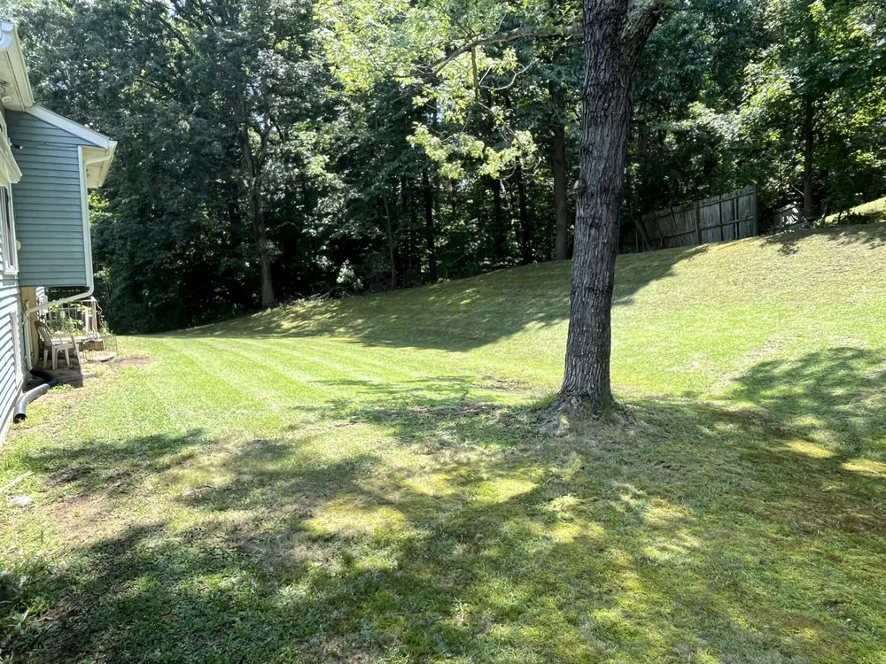 Local lawn mowing service in Clinton, MD - M & M Lawn Mowing
