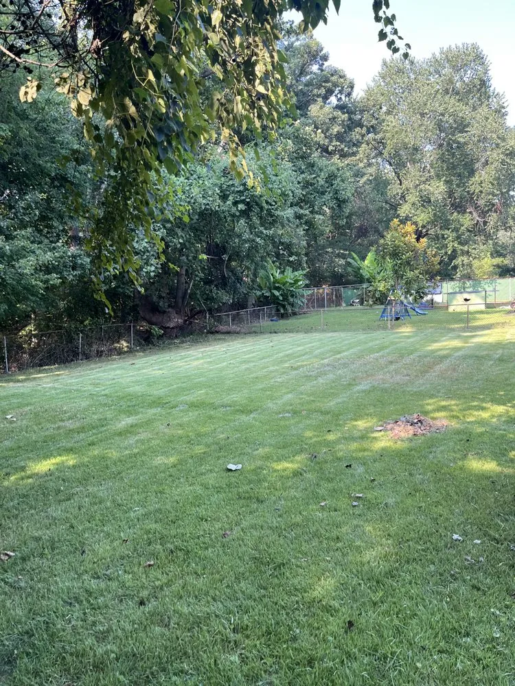 Trusted yard cleanup service for year-round maintenance across Clinton, MD - M & M Lawn Mowing