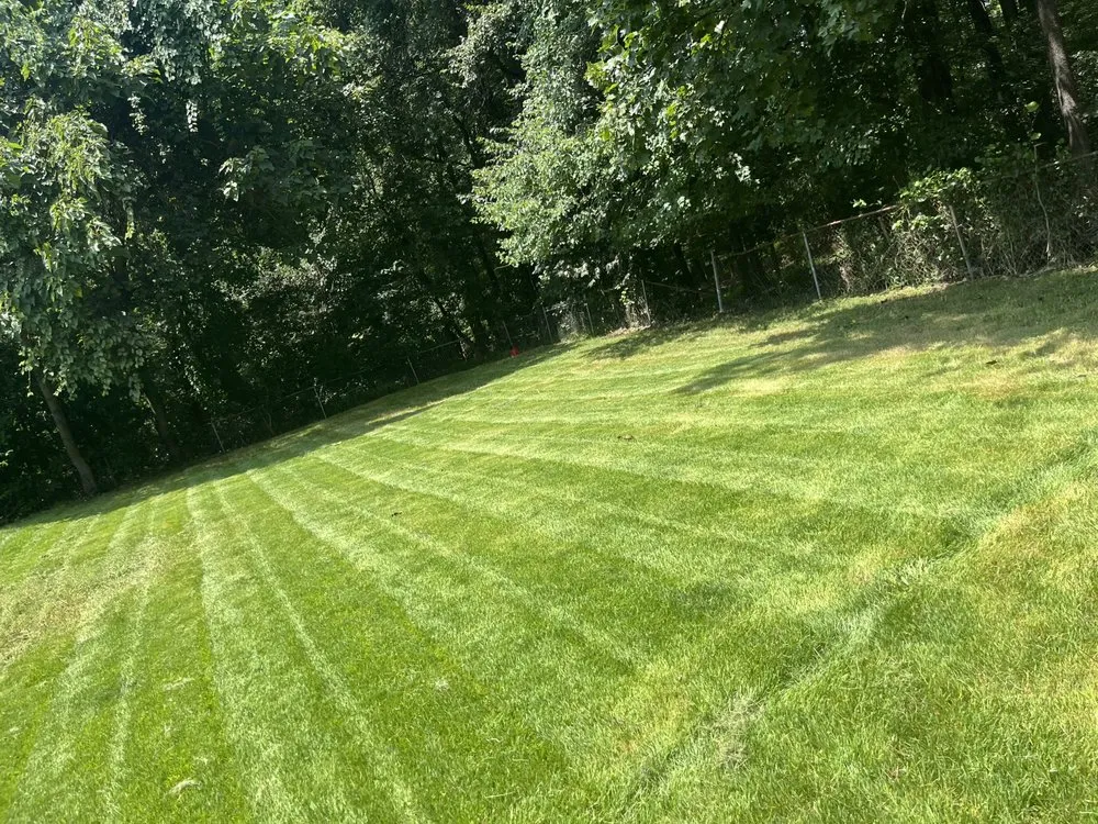 Local landscaping services in Clinton, MD by M & M Lawn Mowing