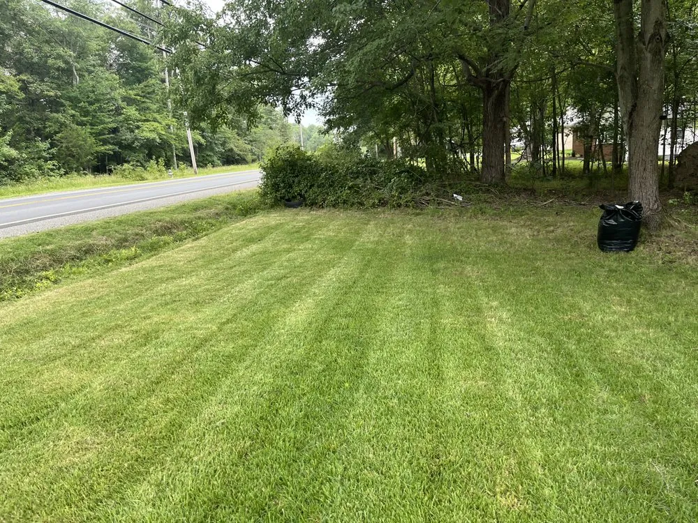 Professional lawn care service in Clinton, MD by M & M Lawn Mowing