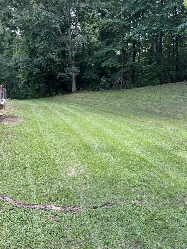 Reliable lawn mowing service in Clinton, MD - M & M Lawn Mowing