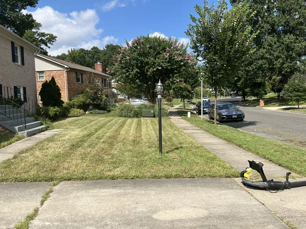 Top-rated lawn mowing service for outdoor upgrades across Clinton, MD - M & M Lawn Mowing