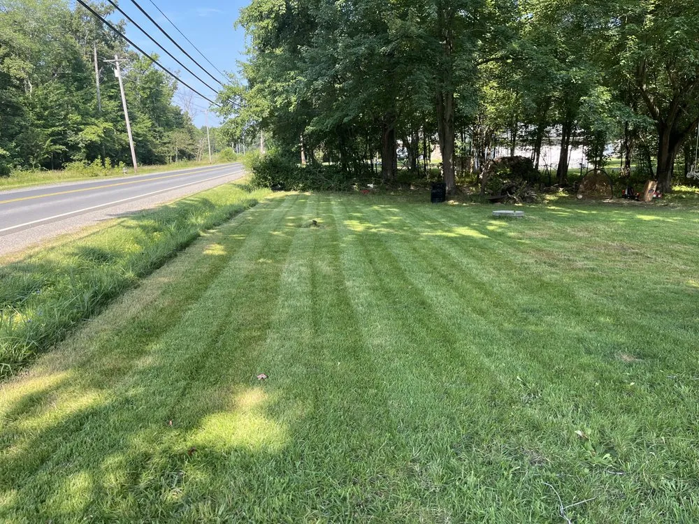 Expert lawn mowing service in Clinton, MD - M & M Lawn Mowing
