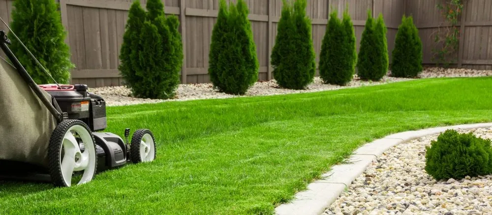 Affordable garden landscaping in District Heights, MD by M & M Lawncare Service
