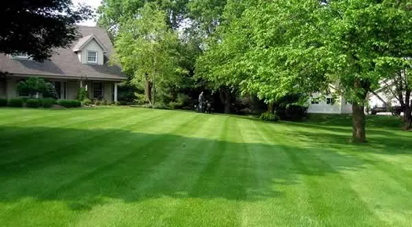 Reliable garden landscaping for year-round maintenance across District Heights, MD - M & M Lawncare Service
