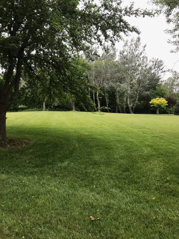 Professional yard cleanup service for residential properties in Milwaukee, WI by M & M Management Property
