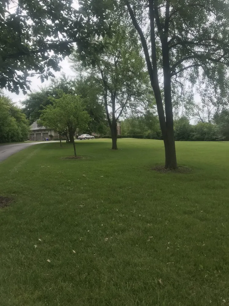 Local lawn mowing service with custom design across Milwaukee, WI - M & M Management Property