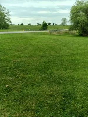 M & M Mowing and Landscaping