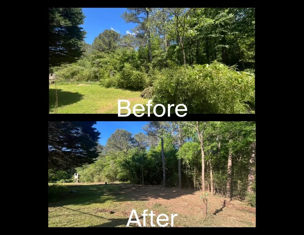 Top-rated lawn mowing service for outdoor upgrades in Loganville, GA by M & M Mulching and Clearing