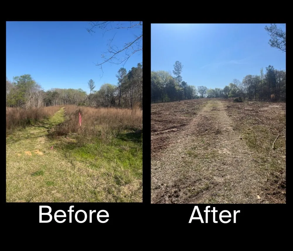 Expert landscape installation with custom design across Loganville, GA - M & M Mulching and Clearing