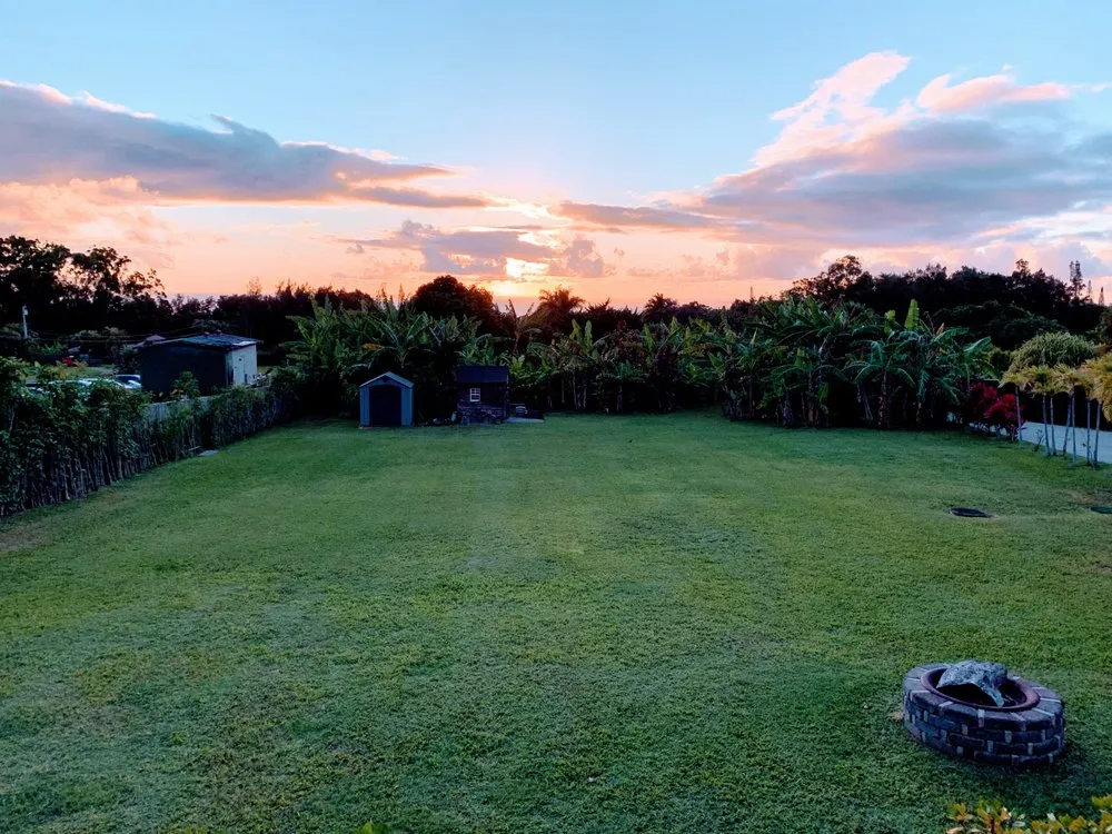 Professional landscape installation in Haleiwa, HI by M & M Property Consultants