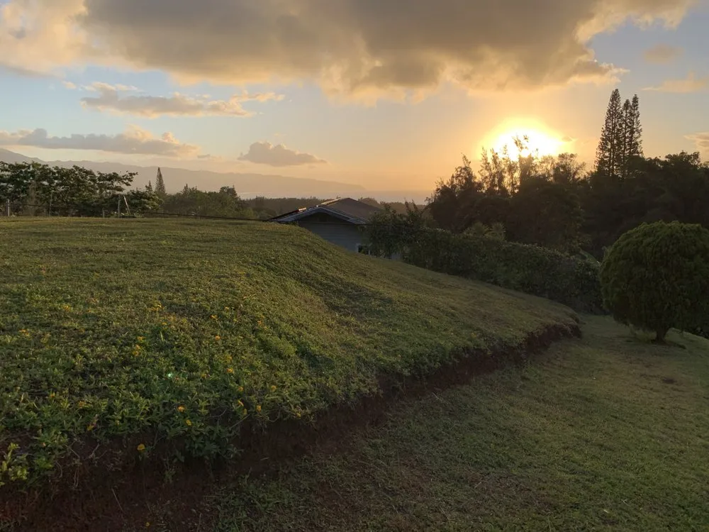 Affordable garden landscaping for residential properties in Haleiwa, HI by M & M Property Consultants