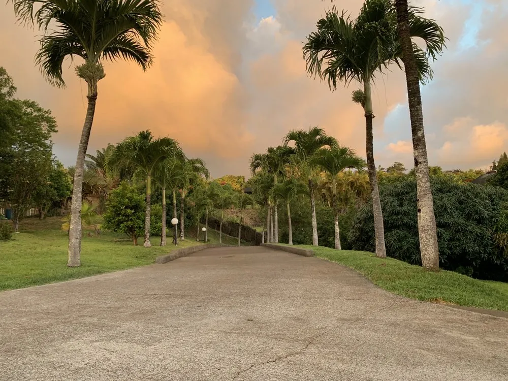 Custom outdoor landscaping in Haleiwa, HI - M & M Property Consultants