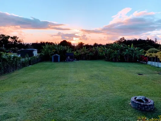 M & M Property Consultants