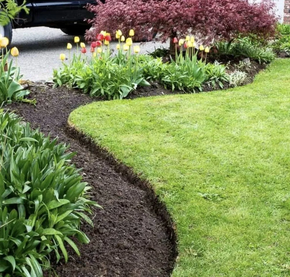 Professional landscape installation in Orlando, FL by M & M Property Management