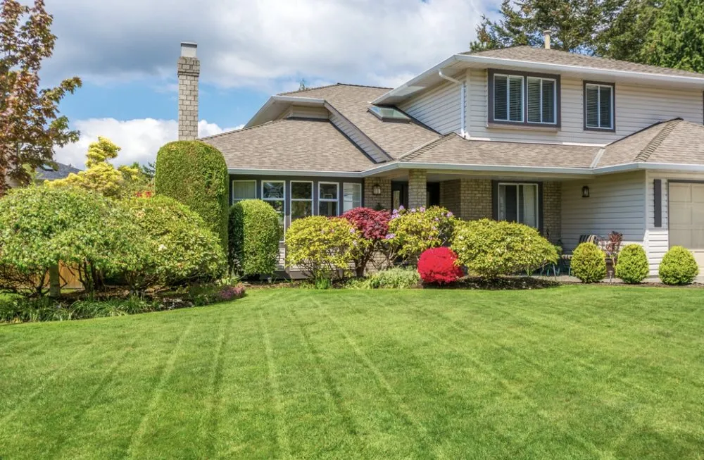 Professional landscape installation experts serving Orlando, FL - M & M Property Management