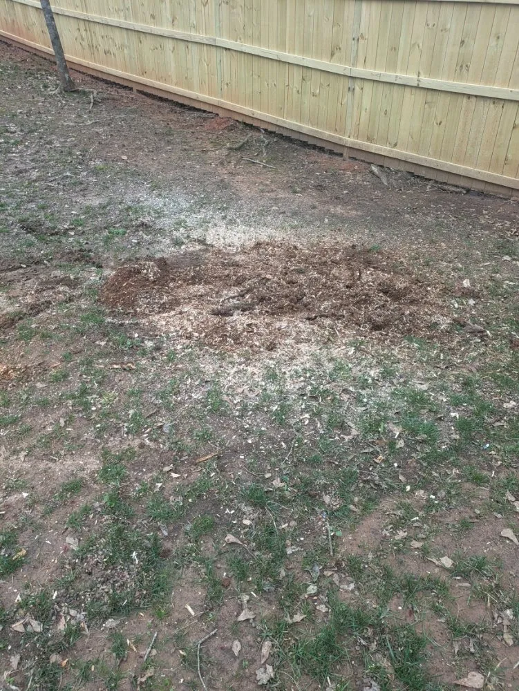 Local landscape design in Simpsonville, SC by M & M Stump Grinding