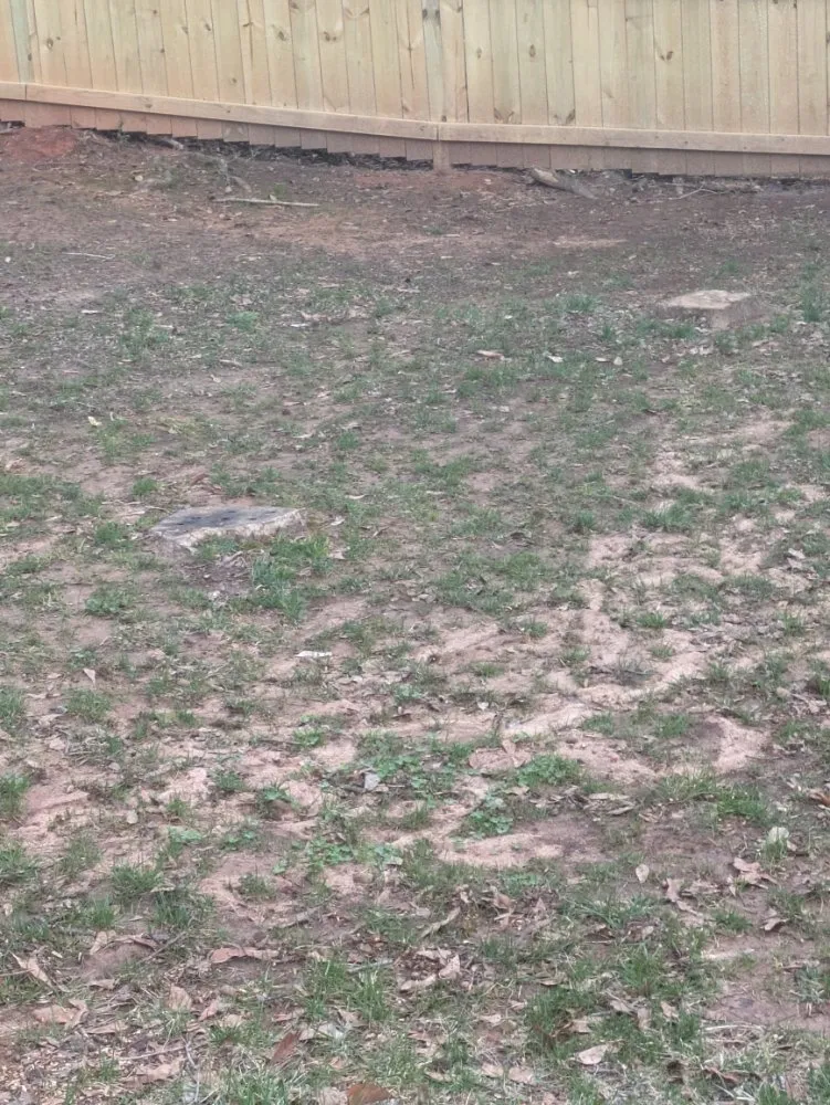 Local landscape design experts serving Simpsonville, SC - M & M Stump Grinding