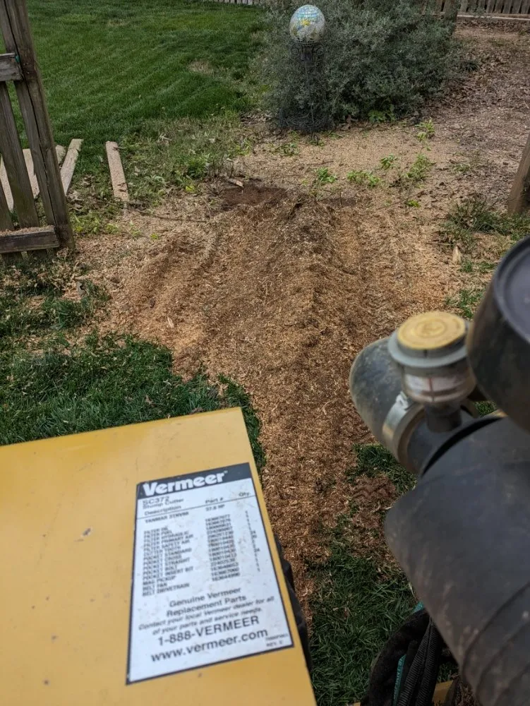 Reliable garden landscaping in Simpsonville, SC - M & M Stump Grinding